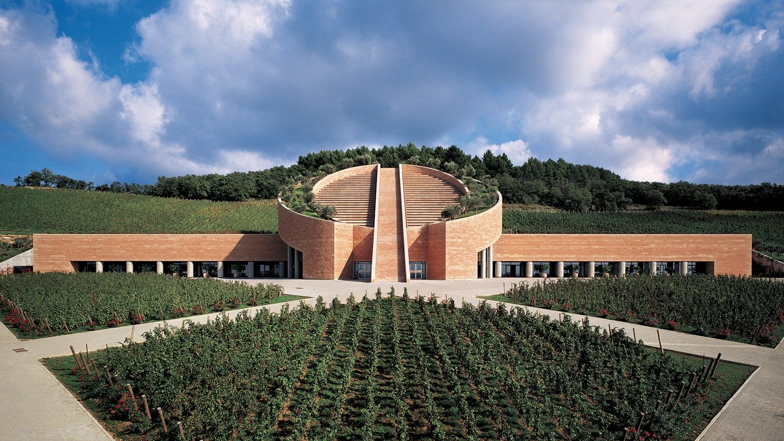 Bolgheri
