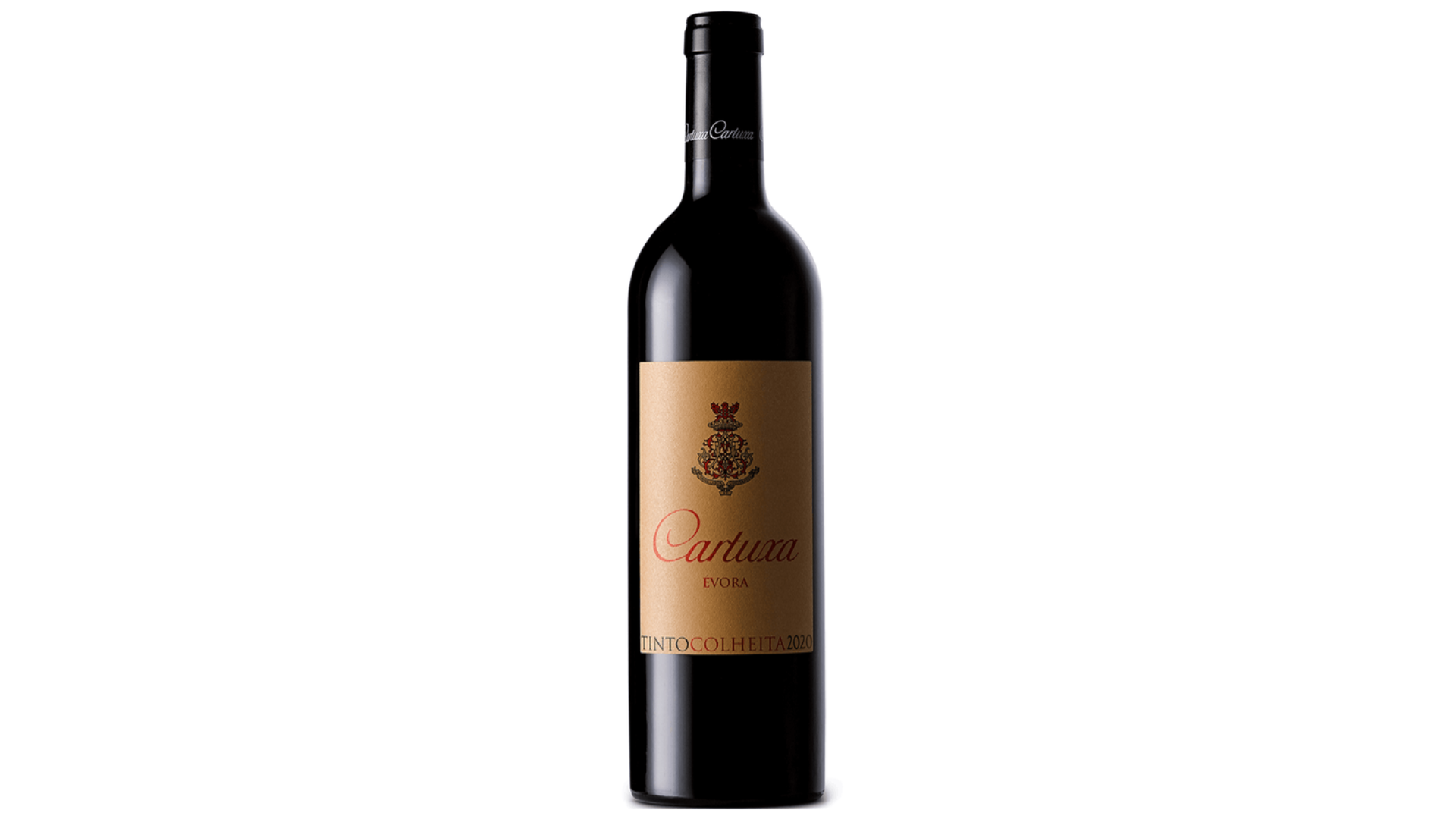 Vinho