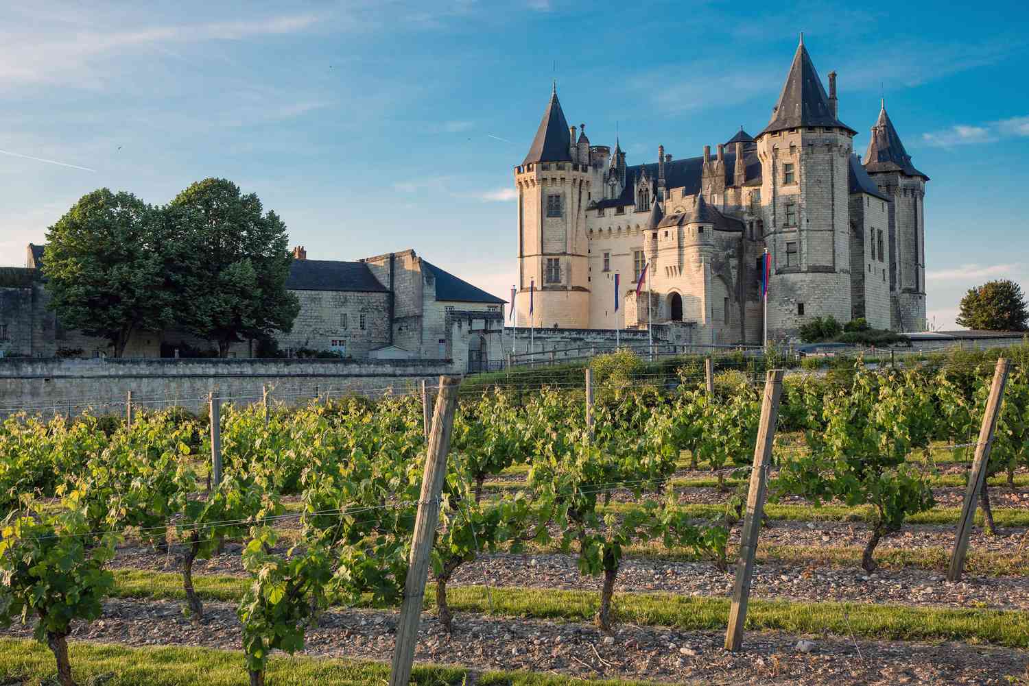 Loire Francês