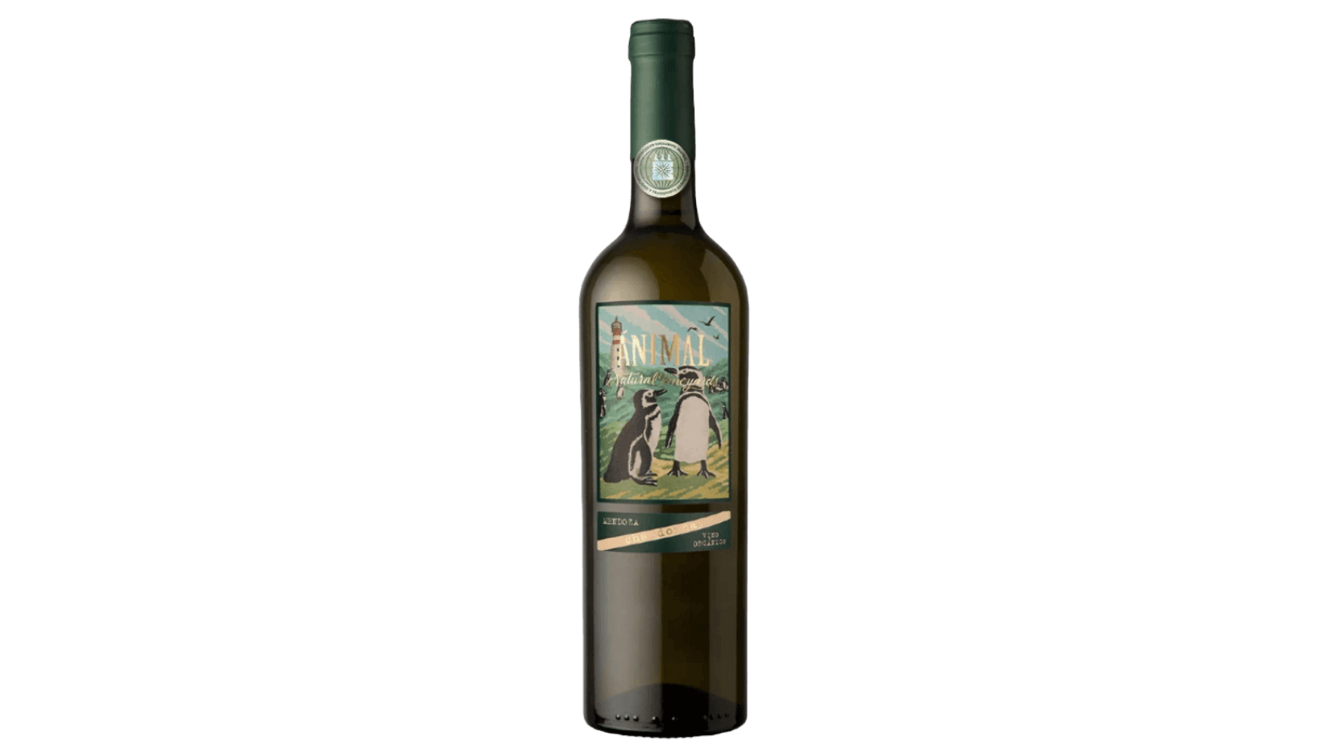 Vinho